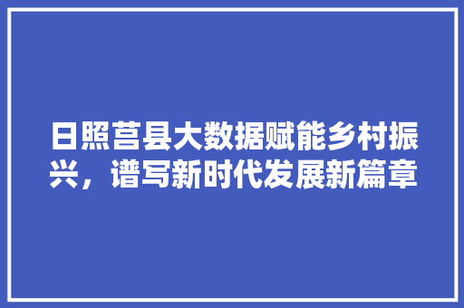 日照莒县大数据赋能乡村振兴，谱写新时代发展新篇章