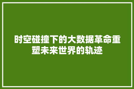 时空碰撞下的大数据革命重塑未来世界的轨迹