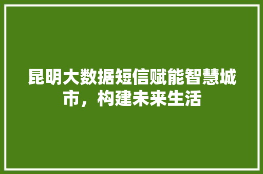 昆明大数据短信赋能智慧城市，构建未来生活  第1张