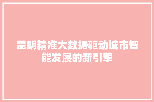 昆明精准大数据驱动城市智能发展的新引擎