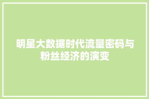 明星大数据时代流量密码与粉丝经济的演变  第1张