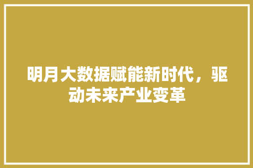 明月大数据赋能新时代，驱动未来产业变革  第1张