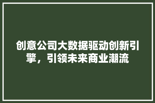 创意公司大数据驱动创新引擎，引领未来商业潮流  第1张