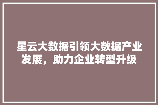 星云大数据引领大数据产业发展，助力企业转型升级  第1张