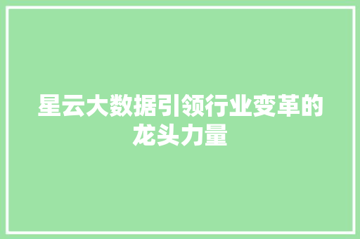 星云大数据引领行业变革的龙头力量