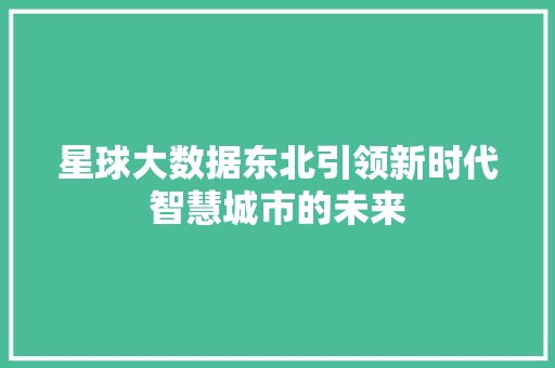 星球大数据东北引领新时代智慧城市的未来