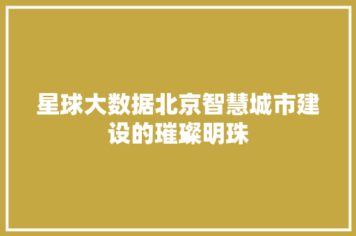 星球大数据北京智慧城市建设的璀璨明珠