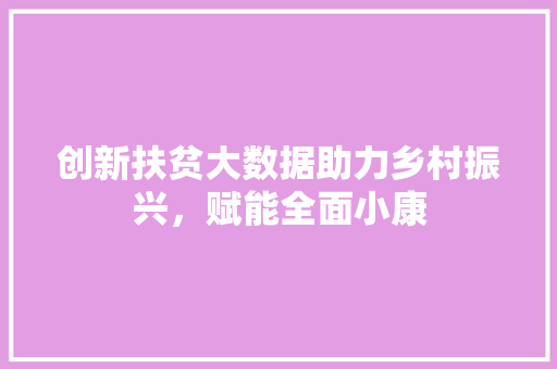 创新扶贫大数据助力乡村振兴，赋能全面小康  第1张