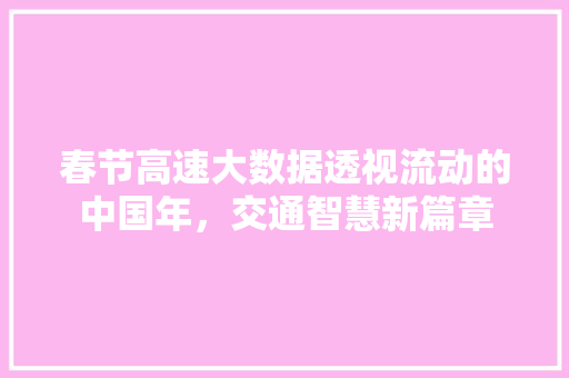 春节高速大数据透视流动的中国年，交通智慧新篇章