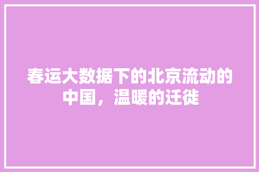 春运大数据下的北京流动的中国，温暖的迁徙  第1张