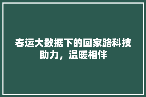 春运大数据下的回家路科技助力，温暖相伴  第1张