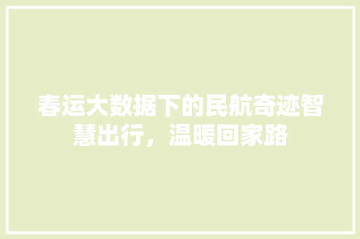春运大数据下的民航奇迹智慧出行，温暖回家路  第1张