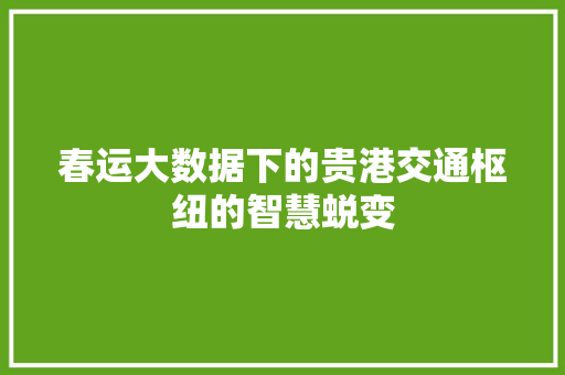 春运大数据下的贵港交通枢纽的智慧蜕变