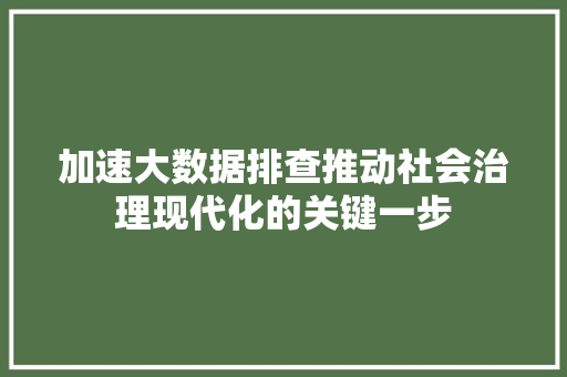 加速大数据排查推动社会治理现代化的关键一步  第1张