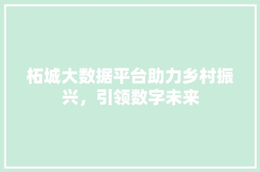 柘城大数据平台助力乡村振兴，引领数字未来  第1张