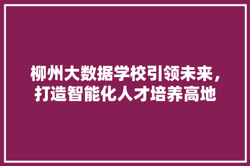 柳州大数据学校引领未来，打造智能化人才培养高地  第1张