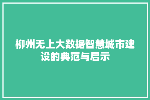 柳州无上大数据智慧城市建设的典范与启示  第1张