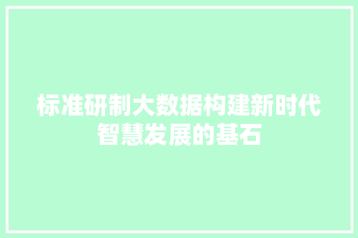 标准研制大数据构建新时代智慧发展的基石