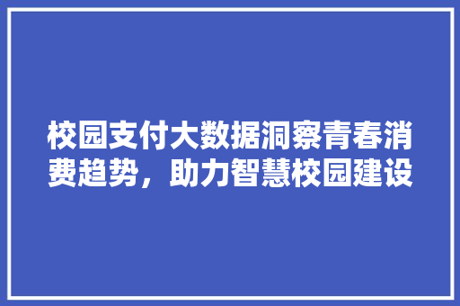 校园支付大数据洞察青春消费趋势，助力智慧校园建设