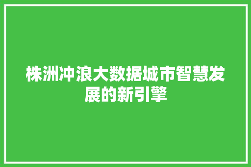 株洲冲浪大数据城市智慧发展的新引擎  第1张