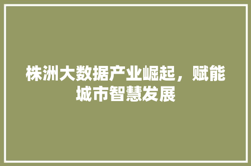 株洲大数据产业崛起，赋能城市智慧发展  第1张