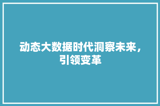 动态大数据时代洞察未来，引领变革