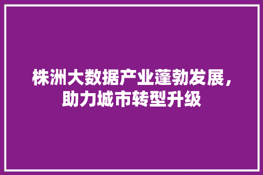 株洲大数据产业蓬勃发展，助力城市转型升级  第1张