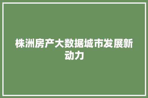 株洲房产大数据城市发展新动力
