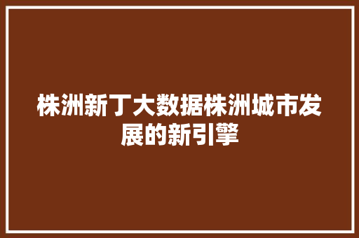 株洲新丁大数据株洲城市发展的新引擎  第1张