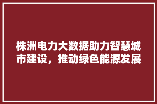 株洲电力大数据助力智慧城市建设，推动绿色能源发展