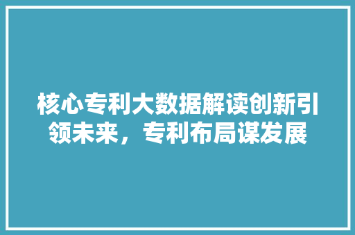 核心专利大数据解读创新引领未来，专利布局谋发展