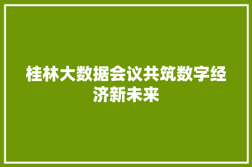 桂林大数据会议共筑数字经济新未来  第1张
