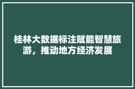 桂林大数据标注赋能智慧旅游，推动地方经济发展