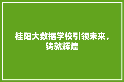 桂阳大数据学校引领未来，铸就辉煌  第1张