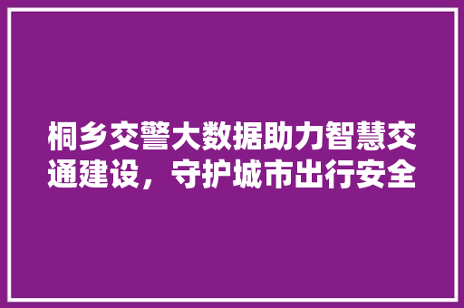 桐乡交警大数据助力智慧交通建设，守护城市出行安全