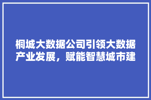 桐城大数据公司引领大数据产业发展，赋能智慧城市建设