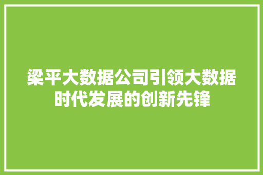 梁平大数据公司引领大数据时代发展的创新先锋  第1张