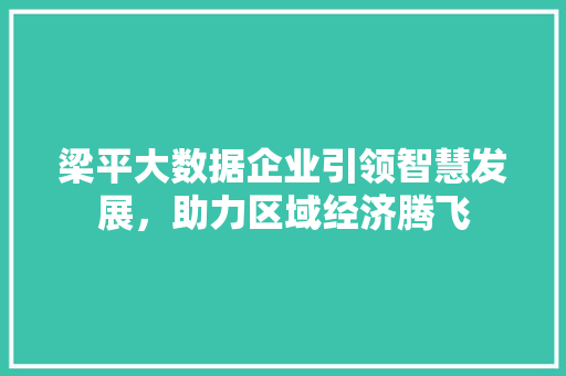 梁平大数据企业引领智慧发展，助力区域经济腾飞