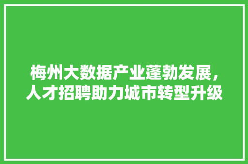 梅州大数据产业蓬勃发展，人才招聘助力城市转型升级