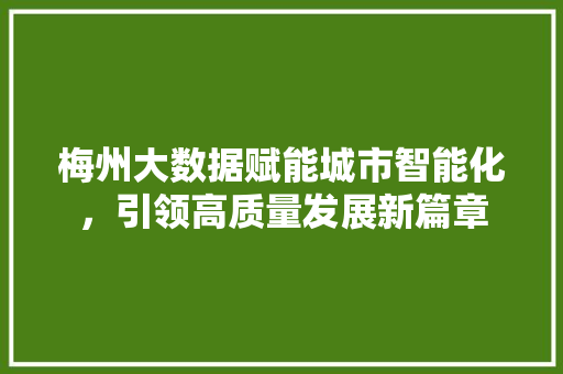 梅州大数据赋能城市智能化，引领高质量发展新篇章