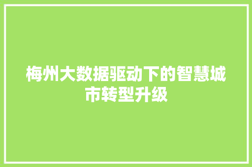 梅州大数据驱动下的智慧城市转型升级