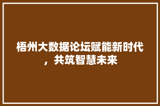 梧州大数据论坛赋能新时代，共筑智慧未来  第1张