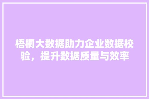 梧桐大数据助力企业数据校验，提升数据质量与效率