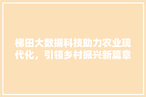 梯田大数据科技助力农业现代化，引领乡村振兴新篇章  第1张