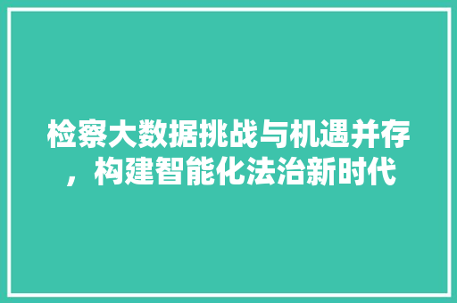 检察大数据挑战与机遇并存，构建智能化法治新时代  第1张