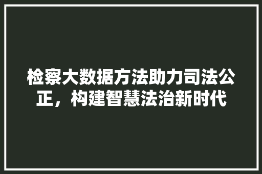 检察大数据方法助力司法公正，构建智慧法治新时代  第1张