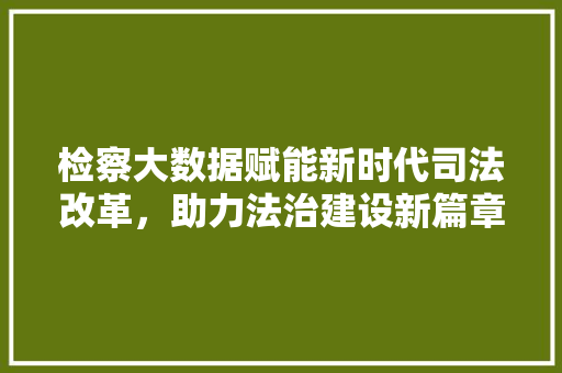 检察大数据赋能新时代司法改革，助力法治建设新篇章  第1张