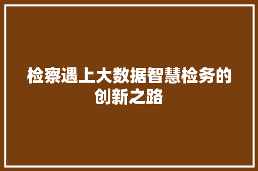 检察遇上大数据智慧检务的创新之路