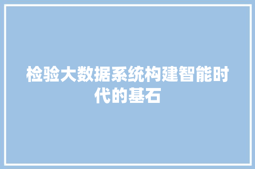 检验大数据系统构建智能时代的基石