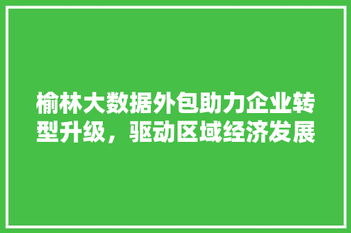 榆林大数据外包助力企业转型升级，驱动区域经济发展
